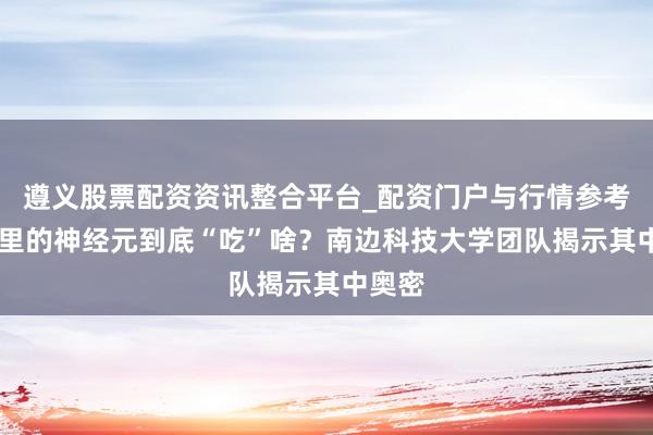 遵义股票配资资讯整合平台_配资门户与行情参考 脑子里的神经元到底“吃”啥？南边科技大学团队揭示其中奥密